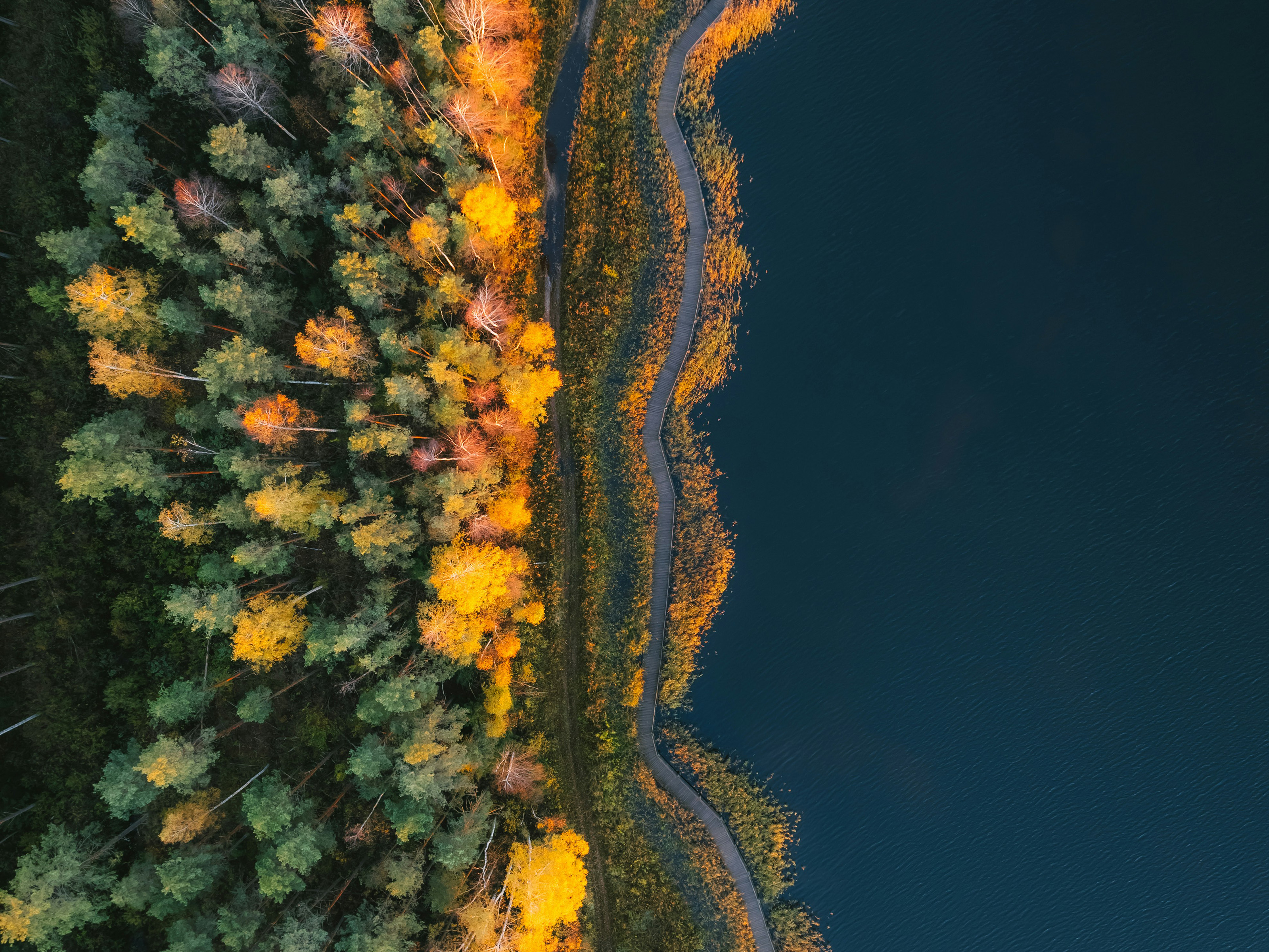 Emerging Insights for COP29: Diplomacy workshops highlight need to get beyond zero-sum thinking