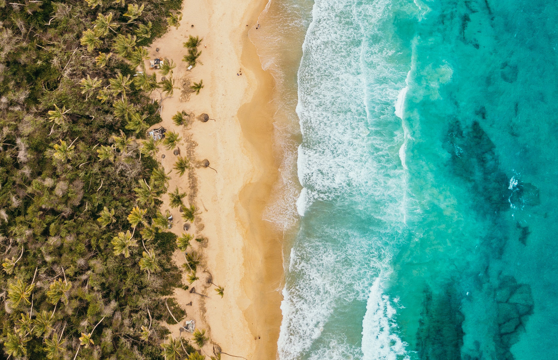 Bonn-Belém insights: We are all future-builders