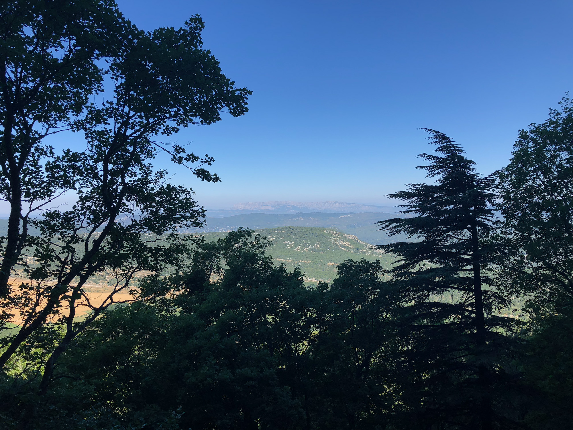 Transcending Crisis: Invest to improve lives & livelihoods